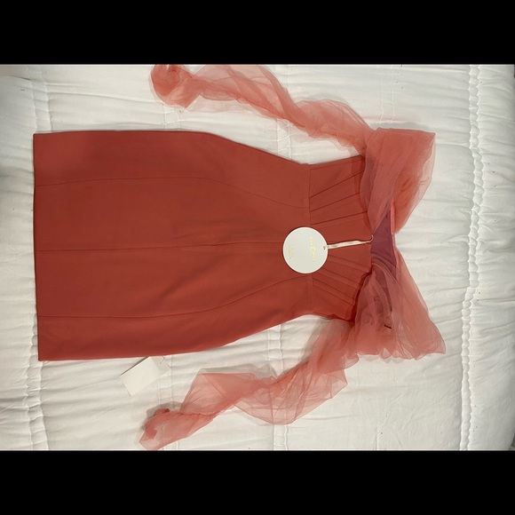 Zofia Salmon Off Shoulder Mesh Sleeve Corset Dress - Picture 6 of 6